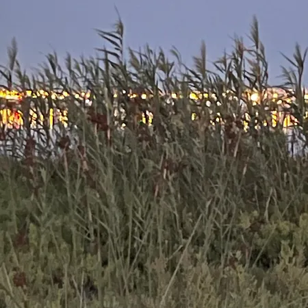 Skyline 21 * Torrevieja